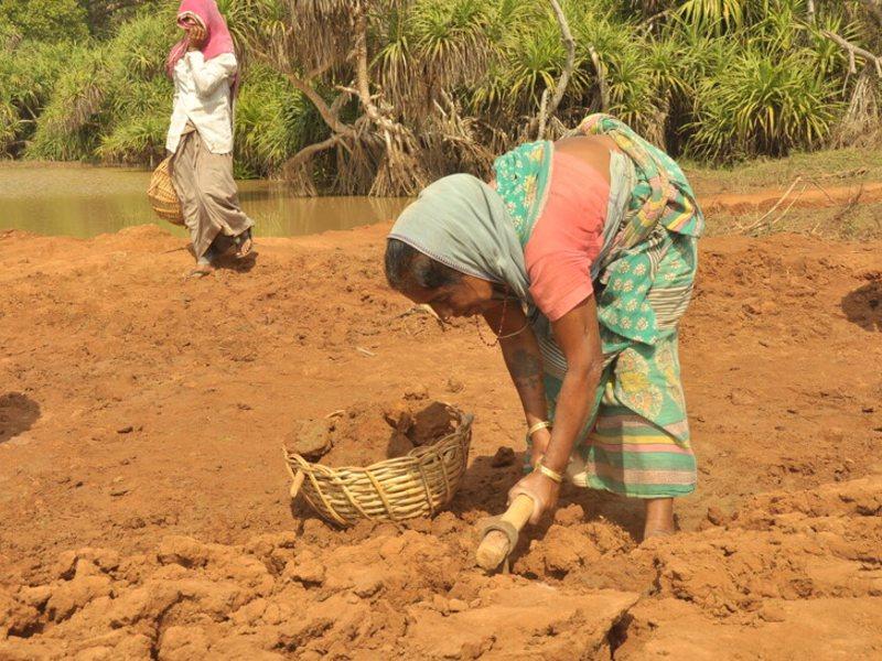 Person digging soil with a hand tool beside a basket in a rural field near a pond, with another person walking in the background