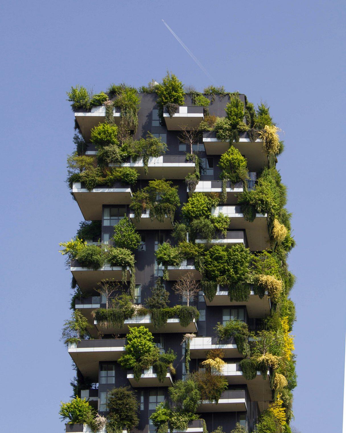 Modern green housing structure