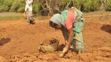 Person digging soil with a hand tool beside a basket in a rural field near a pond, with another person walking in the background