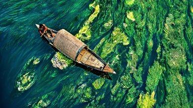 Bangladesh