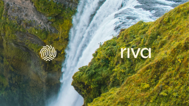 Riva brand image