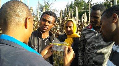 Collecting water quality data in Ethiopia