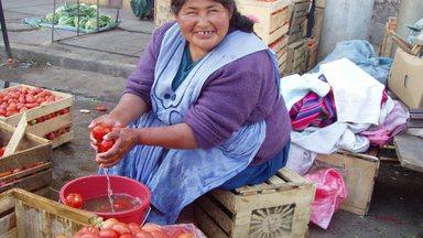 Woman selling tomatoes on a market in the Andes region
