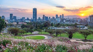Sunset view of Addis Ababa with a serene blend of lush greenery, flowering gardens, and a striking modern skyline.