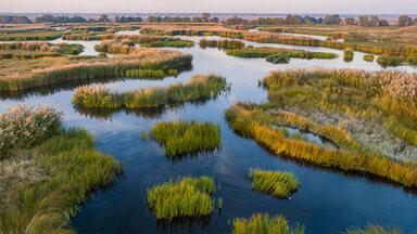 wetlands