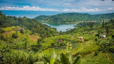 Fields by lake Kivu, Rwanda