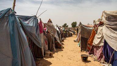 Refugee camp in Africa, full of people who took refuge due to insecurity and armed conflict. People living in very poor conditions, lack of food, clean water and proper shelter to stay
