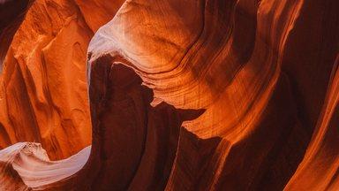 Abstrat image of nature pattern
