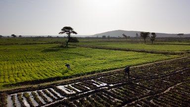 Sustainable Water Fund implementation area