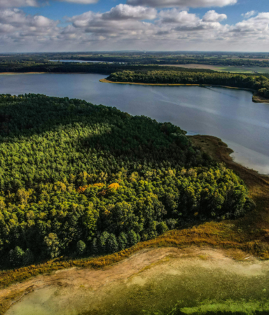A breathtaking aerial view of a lush forest bordering a serene lake under a partly cloudy sky