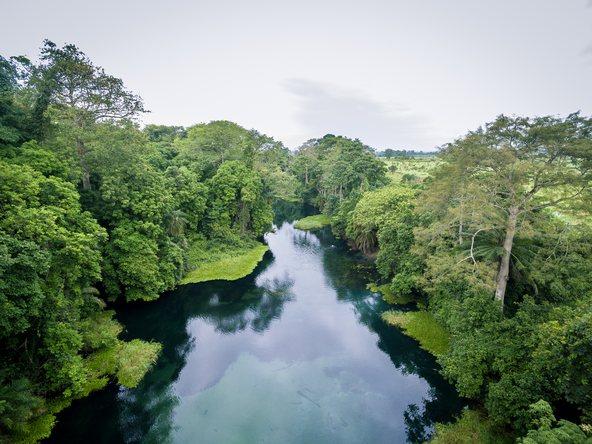 River and trees
