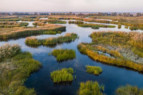 wetlands