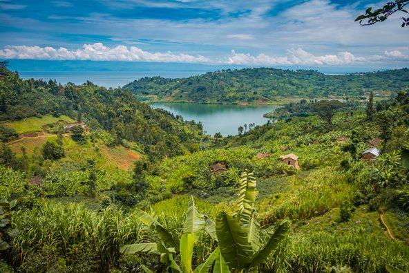 Fields by lake Kivu, Rwanda