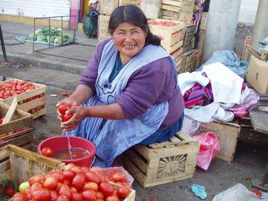 Woman selling tomatoes on a market in the Andes region