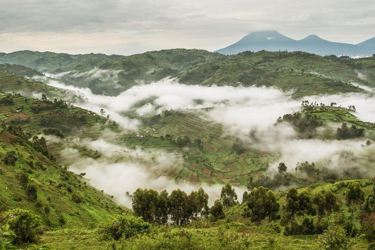 Uganda landscape