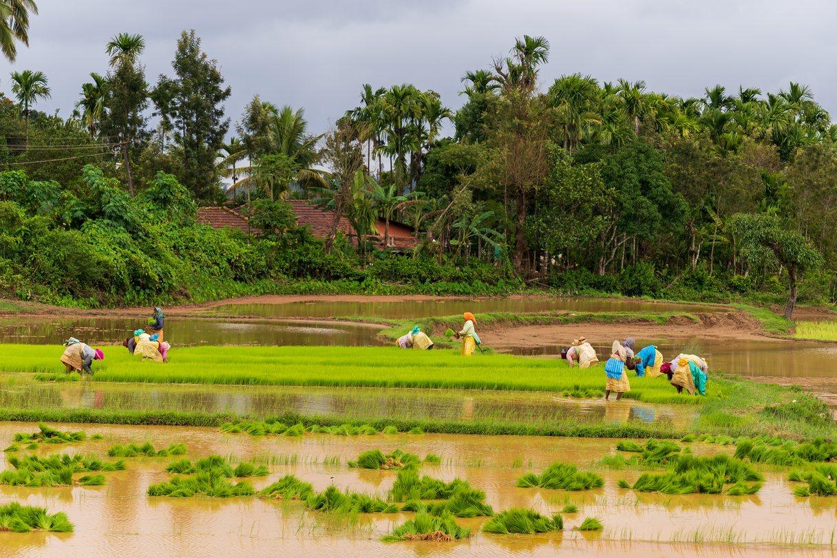 India