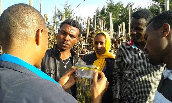 Collecting water quality data in Ethiopia