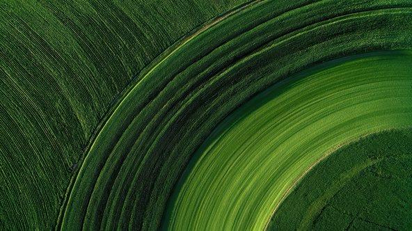 Aerial view green agricultural fields